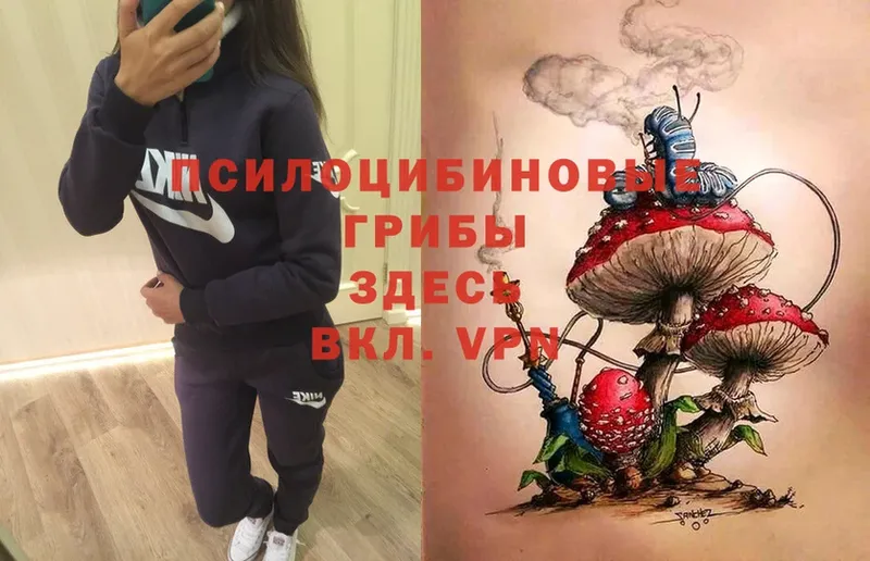 Галлюциногенные грибы Psilocybe  закладки  Осташков 